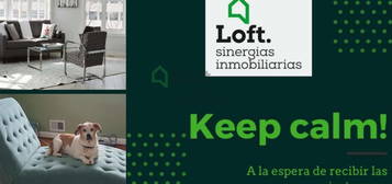 Loft de alquiler en Casco Antiguo