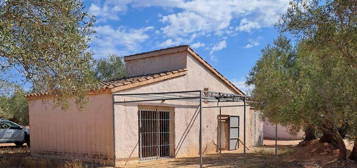 Finca rústica en venta en L'Aldea