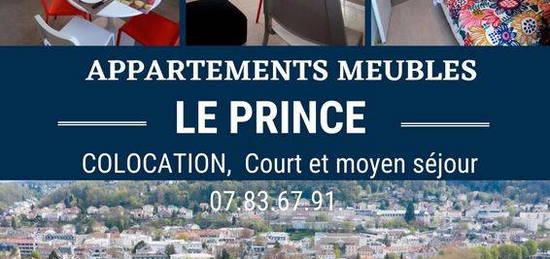 Epinal appart étudiants de 3 chambres