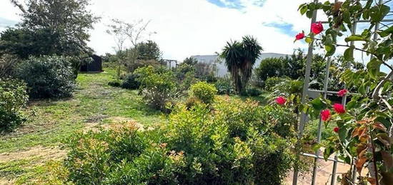 Finca rústica en venta en Núcleo Urbano