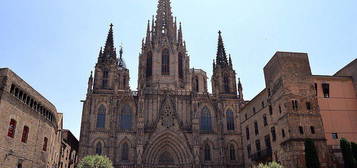 Estudio en calle El Gotic, El Gòtic, Barcelona