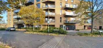 3 bedroom ground floor flat