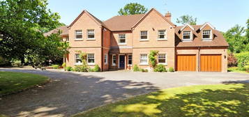 6 bed detached house to rent