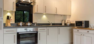 1 bed flat to rent