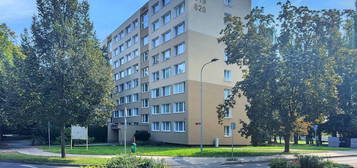 Pronájem bytu 1+1 31 m²