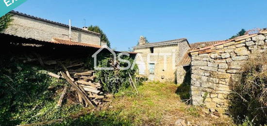 ANCIEN CORPS DE FERME MAISON, DEPENDANCES JARDIN AUX PORTES DE NIORT !