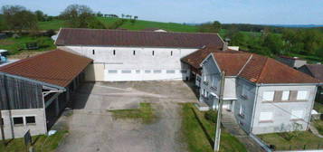 Ferme équestre 8,5 hectares