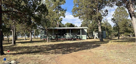 16 Coshacion Dr, Timberon, NM 88350