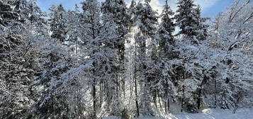 Maisonettewohnung in herrlicher Ruhelage mitten im Wald