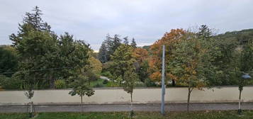 Blick auf Botanischen Garten/Tiergarten Schönbrunn, Park als Vis a Vis, Fernbli…