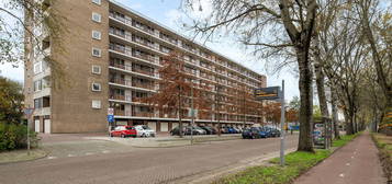 Abeelweg 156