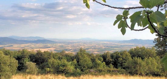 Proprietà rustica in vendita a Sassofortino