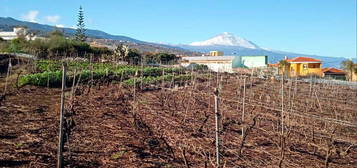 Finca rústica en venta en Tacoronte - Los Naranjeros