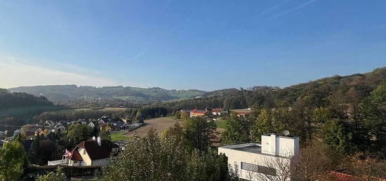 Traumhaft saniertes Haus mit Pöstlingberg- und Urfahrblick - 5 Minuten von der JKU, Leben im Grünen