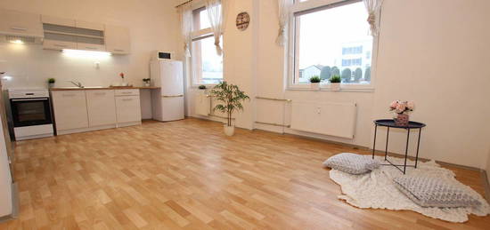 Pronájem bytu 1+kk v osobním vlastnictví 34 m², Louny