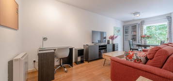 1 bed flat to rent