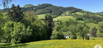 Green green grass of home - sonnige, einzigartige Lage im Grünen - einfach ein Grünoase!