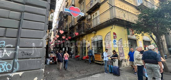 Trilocale Vicoletto San Giorgio ai Mannesi, Tribunali, Napoli