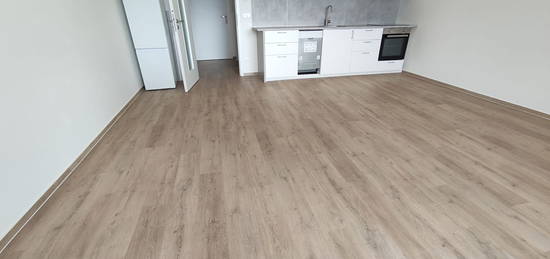 Pronájem bytu 1+kk 42 m²