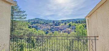 Maison T4 de 65m2 avec une vue exceptionnelle sur un terrain de 3300m2 à CAMPLONG