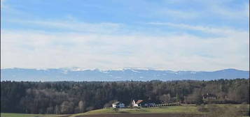 2-Zimmerwohnung mit Koralpenblick