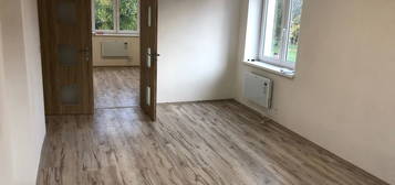Pronájem bytu 2+1 53 m² (Jednopodlažní)