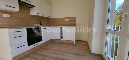 Pronájem bytu 2+1 53 m², Nedbalova,