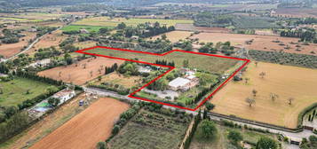 Finca rústica en venta en Sencelles