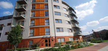 1 bed flat to rent