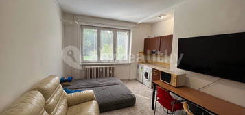 Prodej bytu 1+kk 27 m², U Lesa, Karviná