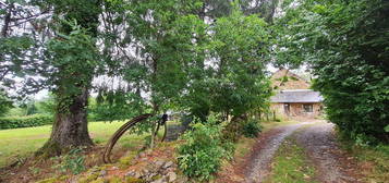 Maison avec terrain