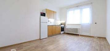 Pronájem bytu 1+1 55 m²