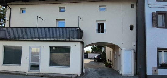 MINI APPARTAMENTO RISTRUTTURATO IN DUPLEX CON P...