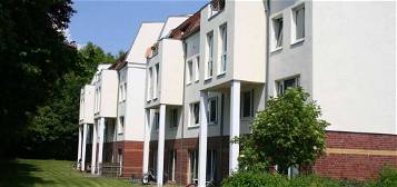 Gepflegte 1-Zimmer-Wohnung in Volgershall zu vermieten!