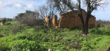 Quintinha Mesa do Pinheiro