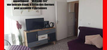 LOCATION meublée dans un T2 de 29m2 vue etang WIFI-PARKING-CLIM