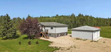 49525 Range Rd #85, Brazeau County, AB T0E 1Z0