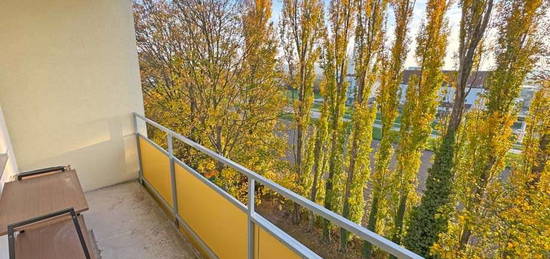 Korneuburg/Bisamberg - freundliche Mietwohnung mit Balkon - 49 m²