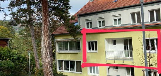 PRIVAT-provisionsfreie, helle, ruhige 55m2 Wohnung mit Balkon in Mödling, Brühlerstrasse,