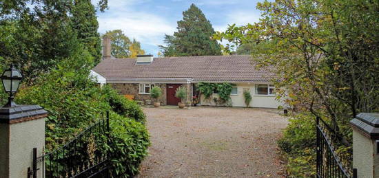 6 bedroom detached bungalow for sale