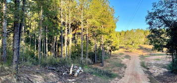 Fire Fox Rd, Poplarville, MS 39470