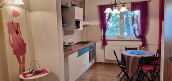 Inchiriere Apartament 2 camere Tineretului