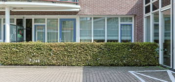 P.C. van Rijnplantsoen 19