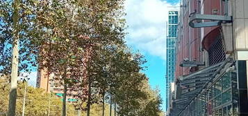 Piso de alquiler en Avinguda Diagonal, Diagonal Mar i el Front Marítim del Poblenou