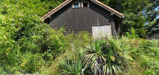 Chalet in legno