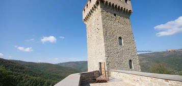 Castello in vendita in strada Provinciale 143