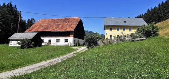 Bauernhof - 27.500m² Hofstelle mit umliegenden Wiesenflächen und Wald