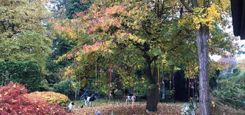 Idyllisches Paradies: 3-Zimmer-Wohnung Mehrfamilienhaus Ammersbek