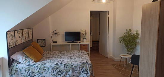 Appartement 1 pièce 30 m2 refait à neuf