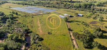 Herdade Alentejana situada entre 2 rios, c/237 Hectares - Mora, Évora